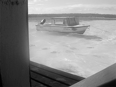 FDotografia Freelance